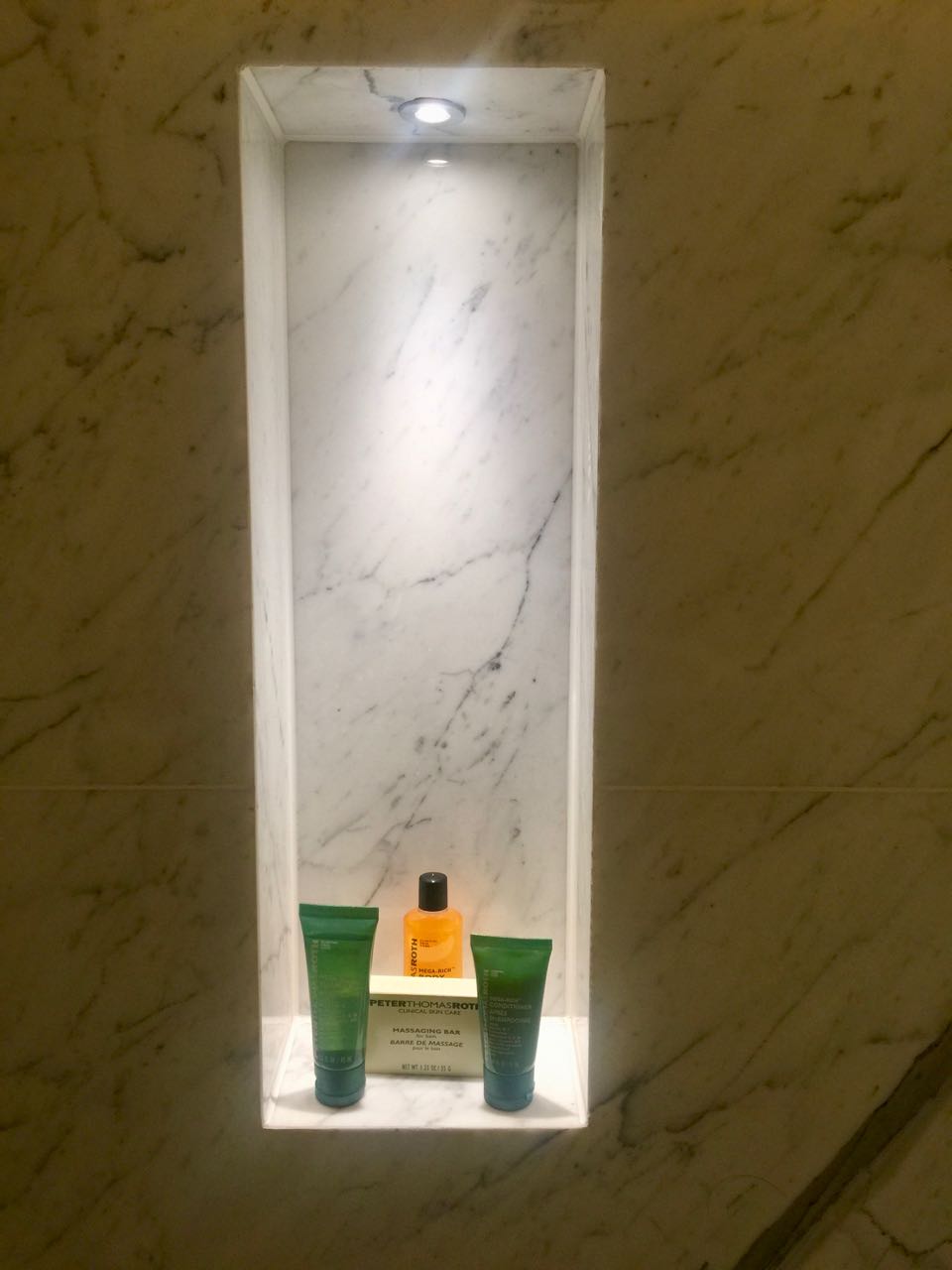 Hilton Bankside | Shower Amenity niche.j