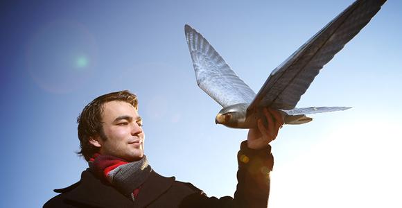 02_Robirds