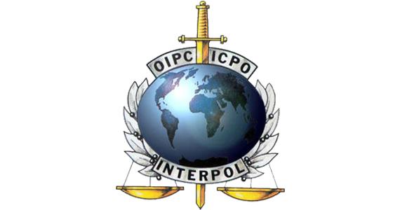 01_Interpol