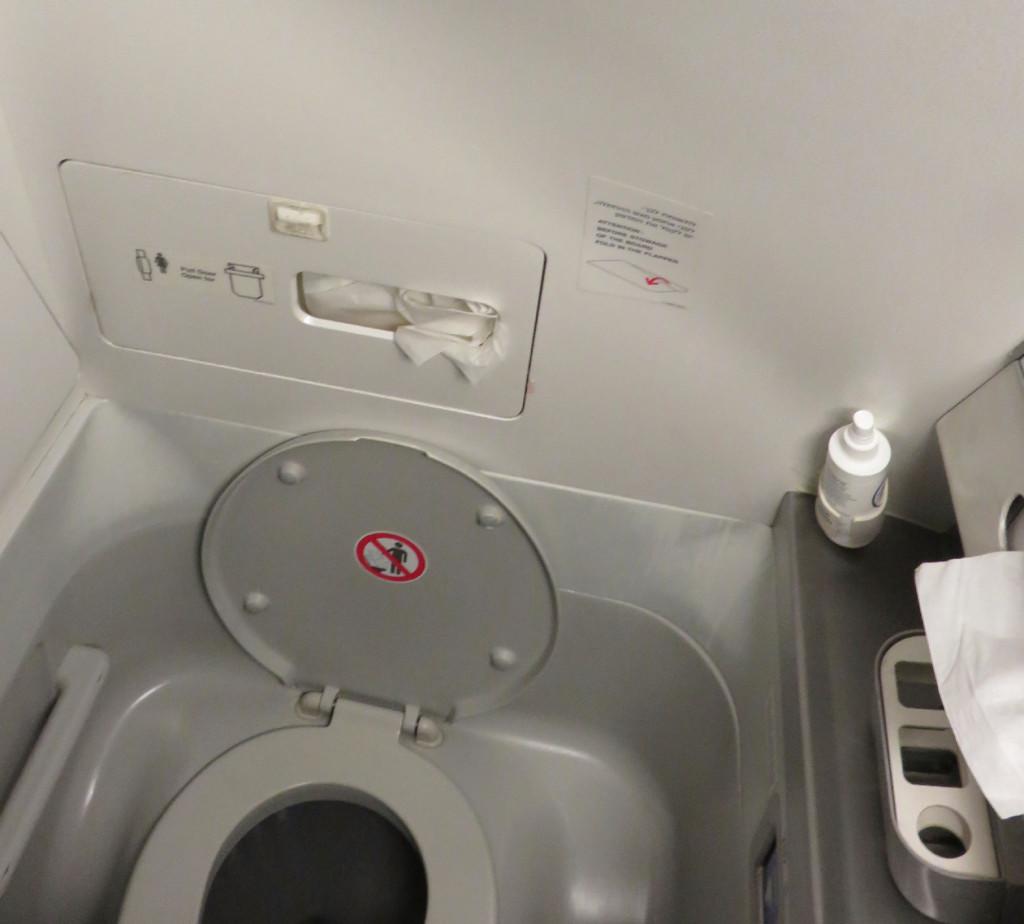 United Pilot Flushed Live Ammo in Lavatory to Avoid Legal Consequences(02)