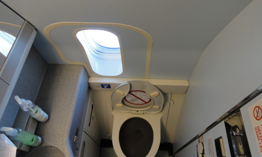 Image result for Video of a woman licking toilet seat in an airplane