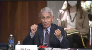 Dr. Anthony Fauci testifies before the Senate Committee on Health, Education, Labor and Pensions about COVID-19 on June 30, 2020. Photo courtesy: Senate Committee on Health, Education, Labor and Pensions
